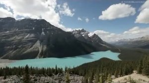 Дыхательная гимнастика Стрельниковой