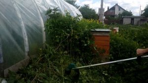 НЕ ПОВТОРЯТЬ ! ТРИММЕР КОСИТ ДАЖЕ ДЕРЕВЬЯ НА ЗАРОСШЕЙ ДАЧЕ ! ОСТОРОЖНО, ГРОМКИЙ ЗВУК