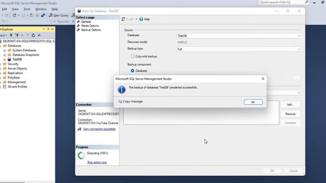 MS SQL Database Create Backup and Restore смотреть онлайн