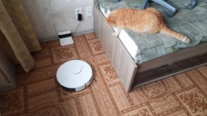 Робот-пылесос Polaris PVCR 5001 IQ Home Aqua и Крош