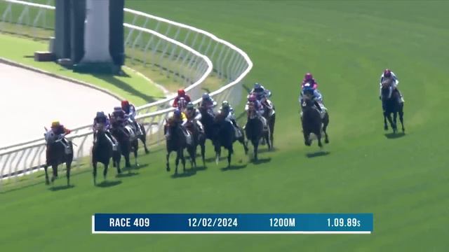 Race previews – Sha Tin | 10/03/24 смотреть онлайн