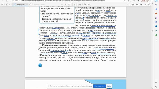 16. Основные органы растений смотреть онлайн
