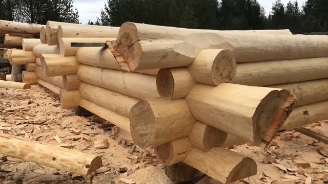 Рубка сруба бани в диком стиле смотреть онлайн