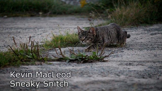 Kevin MacLeod - Sneaky Snitch