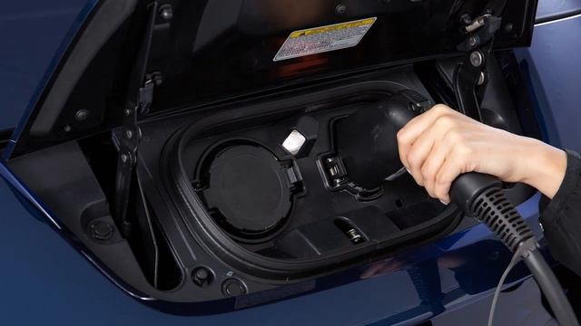 2019 Nissan LEAF - Normal Charge смотреть онлайн