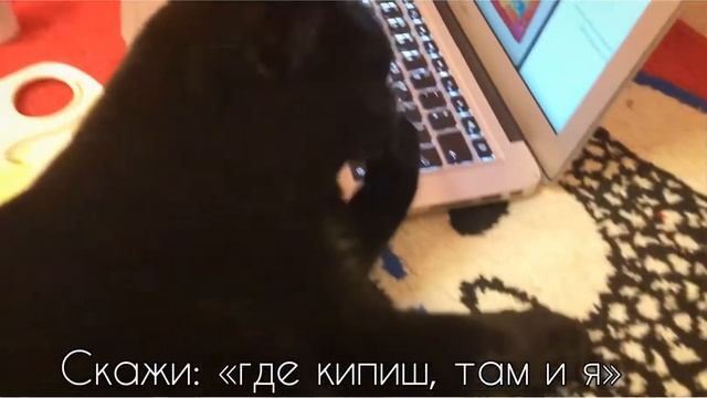 Батик:роспись по ткани(шифон) смотреть онлайн