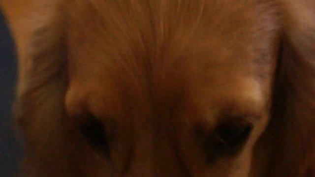 Teste - Sony NEX-3 смотреть онлайн