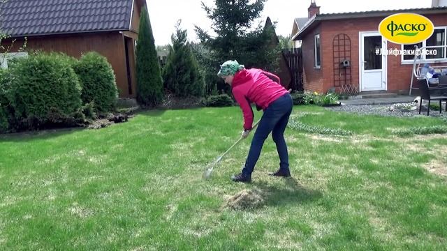 Уход за газоном после зимы смотреть онлайн