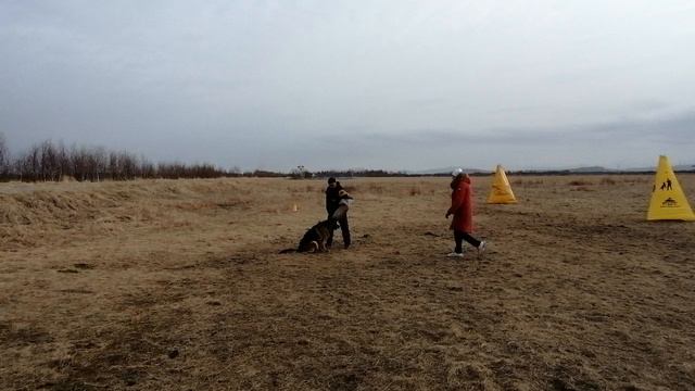 10.  выражено/пож OSTEN STERN ITALIYA (Napoli V. Bad-Boll – Osten Stern Evangelina)