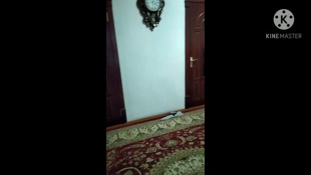 Parizod seriali nima bilan tugadi. Buni hechkim kutmagandi смотреть онлайн