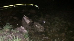 Рыбалка в Ставропольском Крае, Новотроицкое, Ловля Карася.