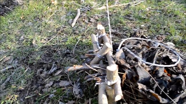 Top 3 Simple Survival Traps смотреть онлайн