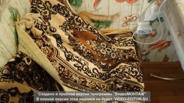 Салаты с Пармезаном