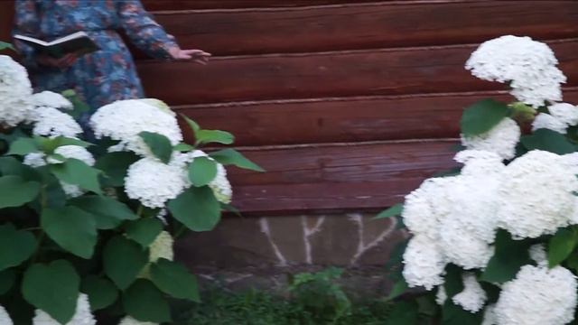 Sonnets Siennois - Final | Сиенские Сонеты - Финальное смотреть онлайн