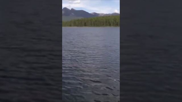 Шопен. мелодия рая смотреть онлайн