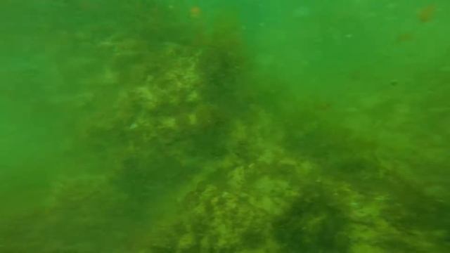 Scuba Diving, Portugal, Lisbon смотреть онлайн