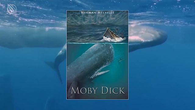 SPERM WHALE ─ The Killer Of Killer Whales! Sperm Whale Vs Orca