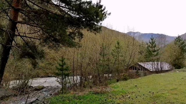 Живая весенняя природа. Шум реки. Пение птиц- Live spring nature. The sound of the river. Birdsong. смотреть онлайн