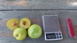 Плуот Флавор Квин (Pluot Flavor Queen). Обзор плодов и дегустация.