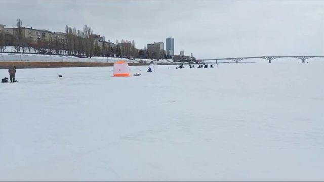 Ловля окуня на мормышки и СУДАКА на вертикальную блесну. Рыбалка в Коренной Волге, русло 04.02.24. смотреть онлайн