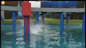 Полоса препятствий. Подборка №1 :))