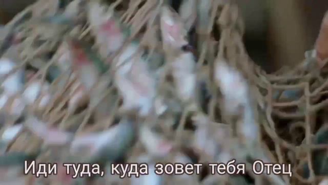 Твой труд не тщетен перед Ним - Христианские песни / Алексей Сорокопуд смотреть онлайн