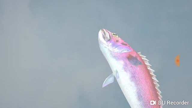 Игра "Fishing strike" рыбалка в клубе смотреть онлайн