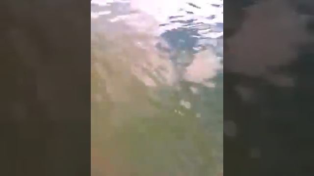 Как очистить бассейн? #бассейн#перекись#водорода #пергидроль #минск смотреть онлайн