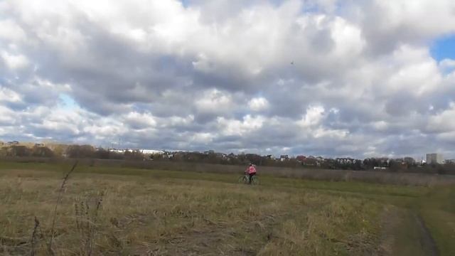 Пытаюсь бегать,кормлю собак, я сердобольный дядя., мои размышления о смысле бытия. смотреть онлайн