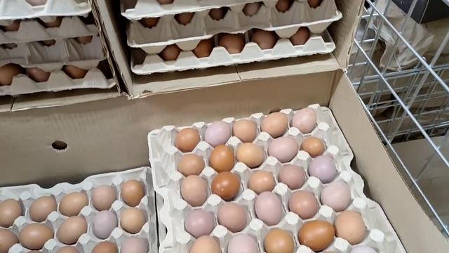 Прогулка по МАГАЗИНУ НИЗКИХ ЦЕН СВЕТОФОР ? смотреть онлайн