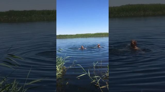 Рыбалка на Орловка смотреть онлайн