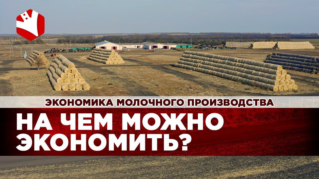 На чем можно экономить в производстве молока? | Экономика молочного животноводства смотреть онлайн