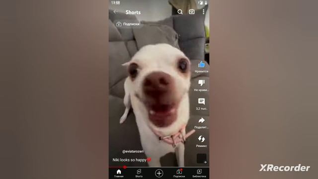 топ 5 страшных картинок в чикен ган я сам нарисовал. смотреть онлайн