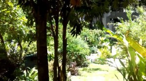 Отель Pinnacle Grand Jomtien Resort 4*