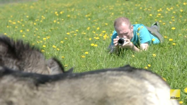 Nikon 1 J5 Обзор смотреть онлайн