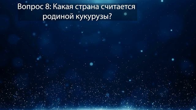 Вы очень умны если сможете ответить хотя бы на половину вопросов этого теста смотреть онлайн