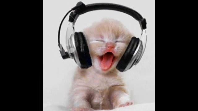 С праздником милые дамы!!! смотреть онлайн