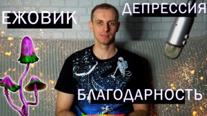 Как дела с грибом Ежовиком, моя депрессия и благодарность