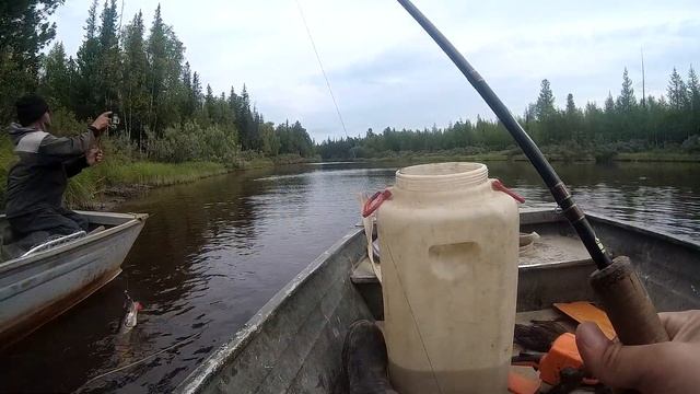 Север 2021, Рыбалка, Ловля крупных щук. Сломали 2 спиннинга, 1 катушку. смотреть онлайн
