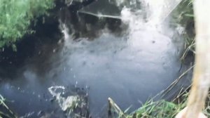 Рыбалка на паук 2022!!! Паук в деле!!!