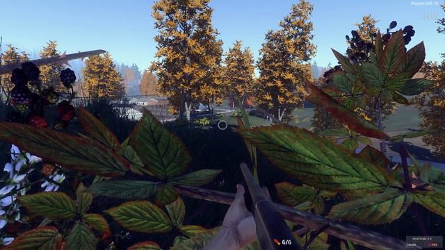 H1Z1 Battle Royal #1 смотреть онлайн