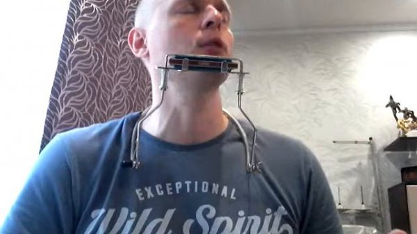 Падди. Укулеле и губная гармошка.