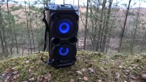 ТЕСТ НАРОДНОЙ ПОРТАТИВНОЙ БЛЮТУЗ КОЛОНКИ SVEN PS- 550 на максимальной громкости.