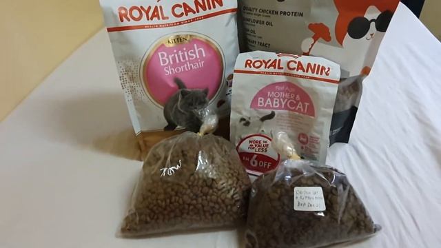 Makanan kucing (orijen, royal canin, egocat & totw) смотреть онлайн