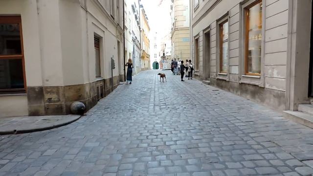 Austria, Vienna, идем к дому Моцарта Domgasse 5 смотреть онлайн