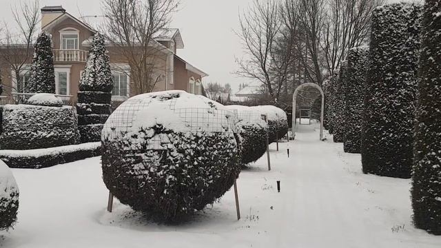 Зима в саду врасплох нас не застанет! смотреть онлайн