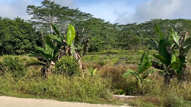 Филиппины/ завтрак/ планы на будущее / жизнь в деревне/