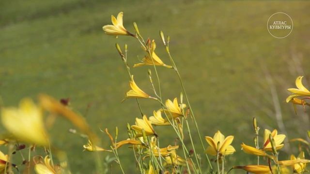 Степи Даурии. «Путешествие на Байкал» смотреть онлайн