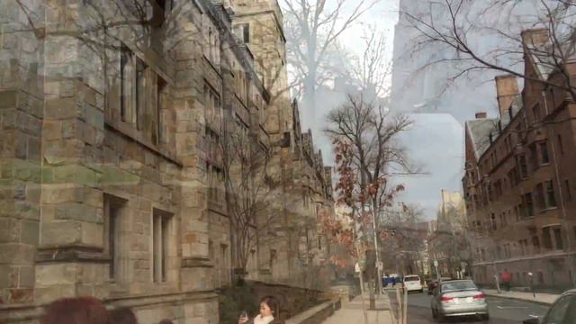 Ельский университете, Ель, Yale