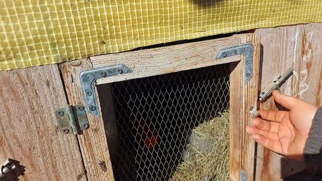 осмотр гнёзд с крольчатами! очень жалко((( смотреть онлайн